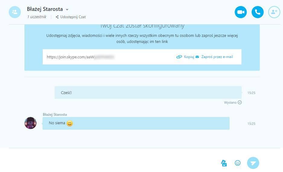 Skype - беседа между посетителем и посетителем