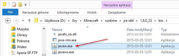 Файл javaw.exe в папке с Minecraft