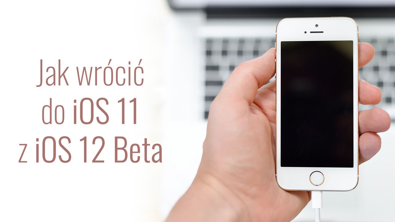 Как вернуться к iOS 11 с бета-версией iOS 12