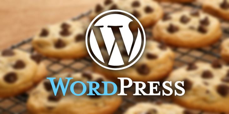 Wordpress - как добавить информацию о файлах cookie