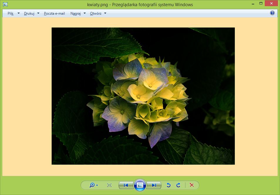 Windows photo viewer - пожелтевший фон и фотографии