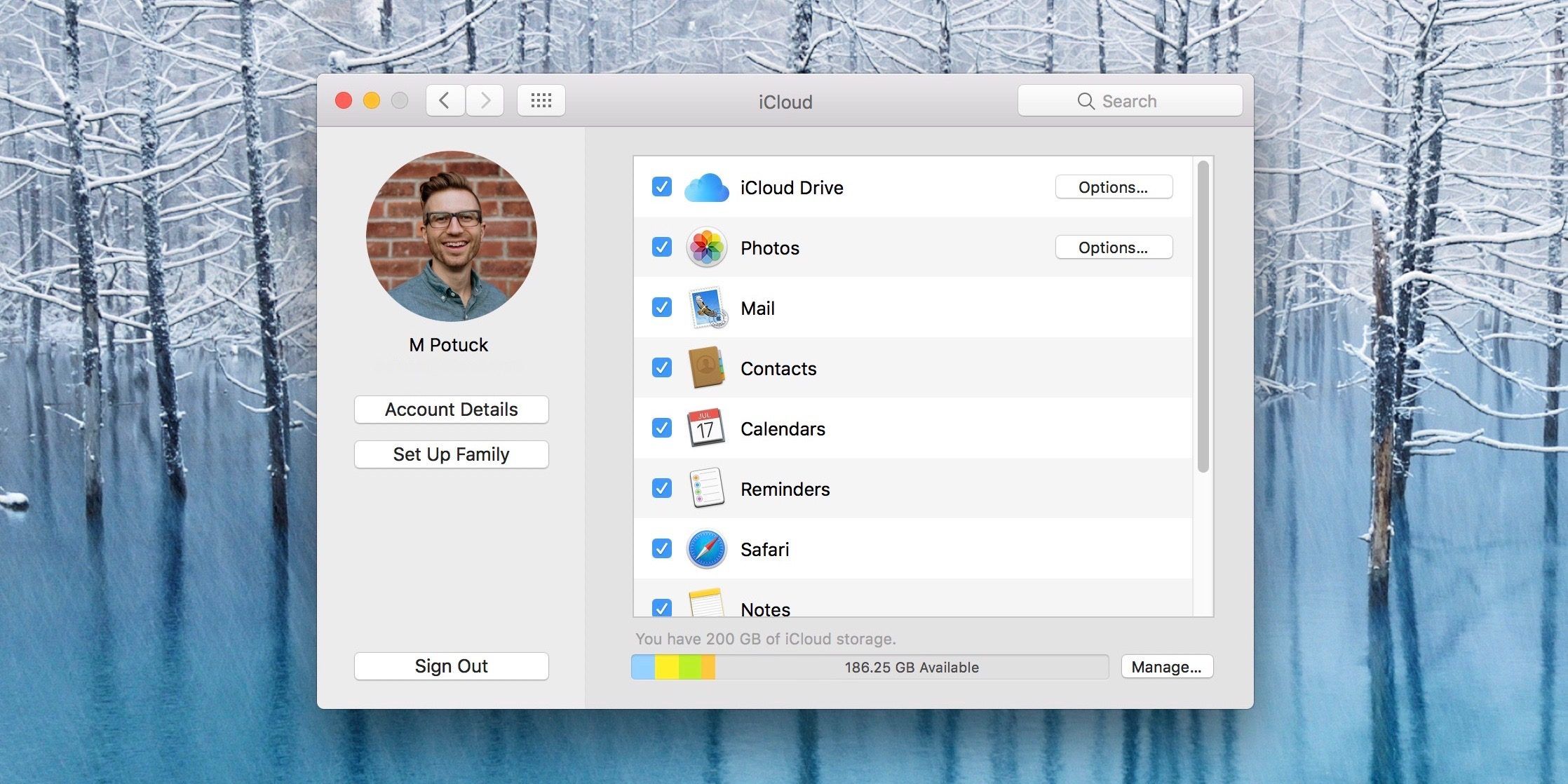 Изображение, показывающее настройку iCloud в системных настройках macOS