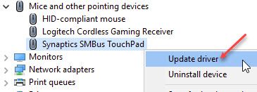 update_touchpad_drivers