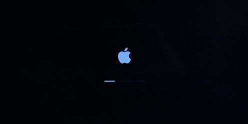 Image showing loading screen for macOS Recovery